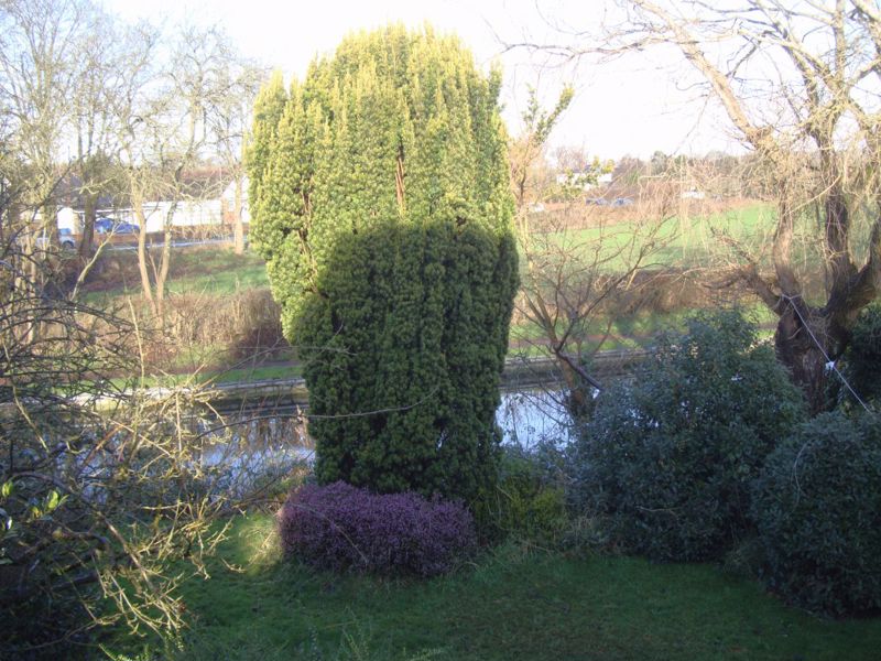 Garden- click for photo gallery